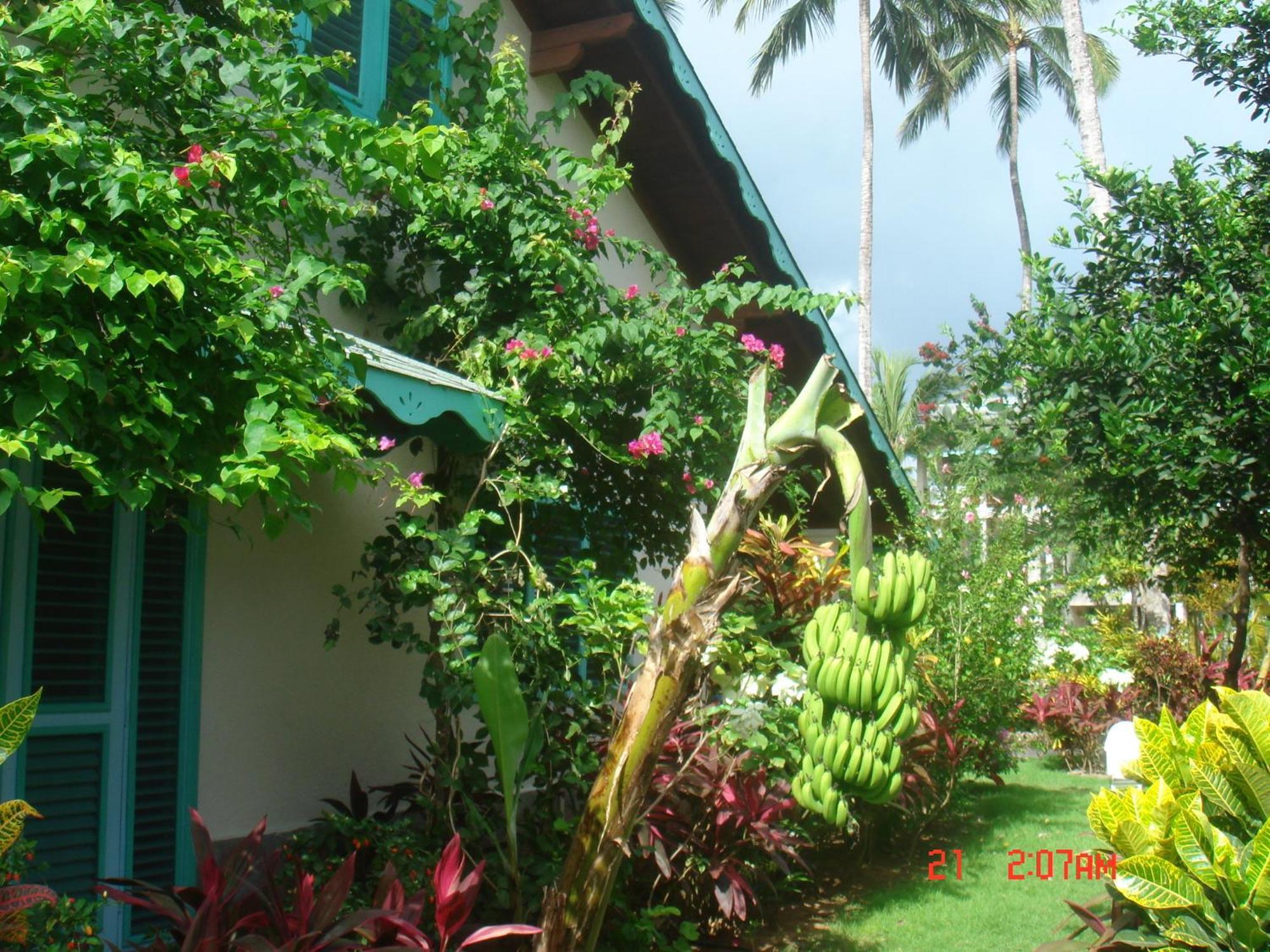 Hotel Playa Colibri Las Terrenas Eksteriør bilde